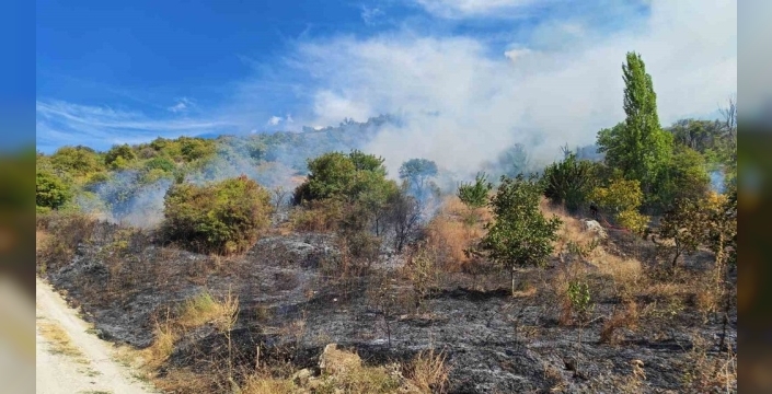 Manisa'da yol kenarındaki yangın ormana sıçradı