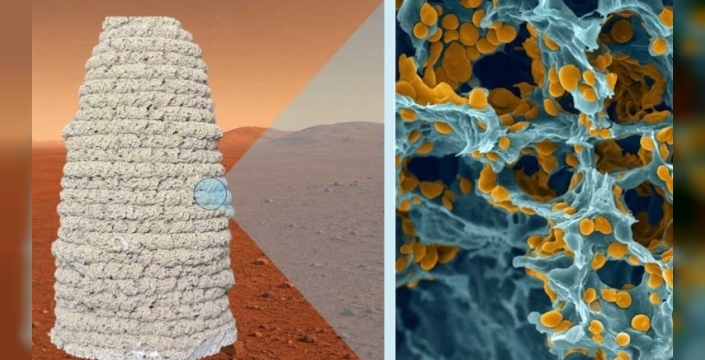 Mars'ta ev yapımı için özel maya geliştirildi
