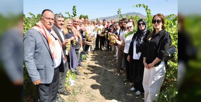 Menemen'de geleneksel bağ bozumu etkinliği düzenlendi