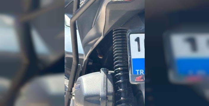 Motosikletten çıkan yılan korkuttu