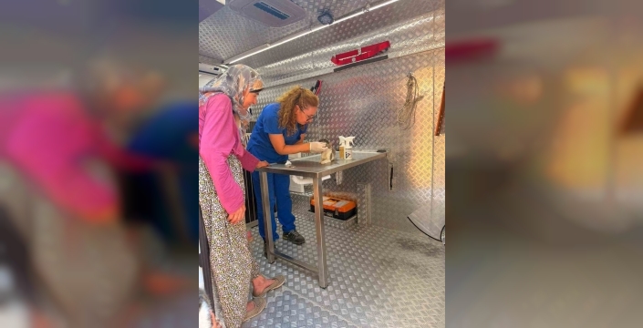 Muğla'da orman yangını sonrası hayvanlara müdahale