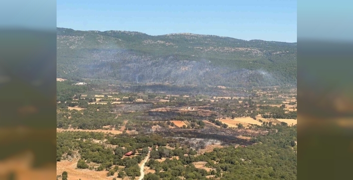 Muğla'daki orman yangınına havadan müdahale