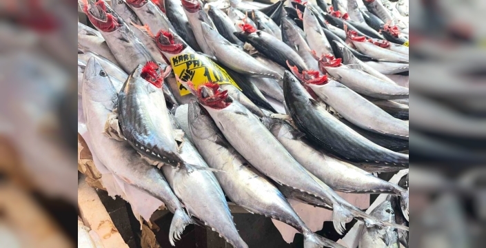 Palamut fiyatları, İzmir'de balık pazarlarını hareketlendirdi