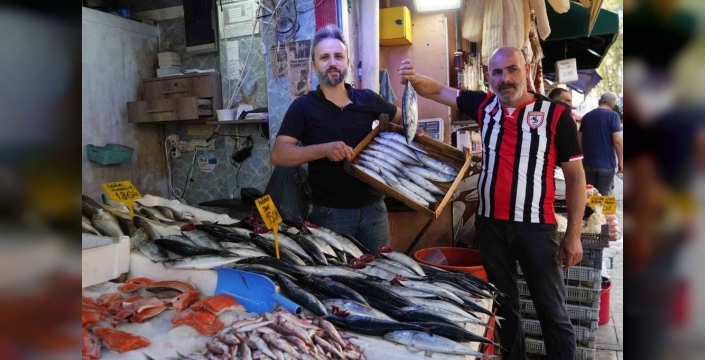 Palamut sezonu başladı, fiyatı 150 TL'den satışa sunuldu