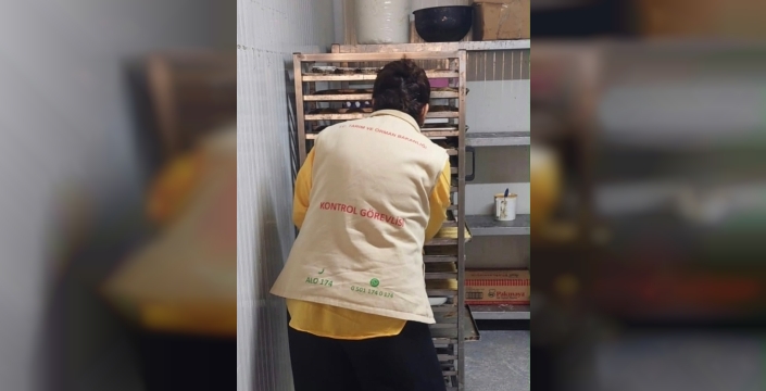 Söke'de gıda işletmelerine denetim