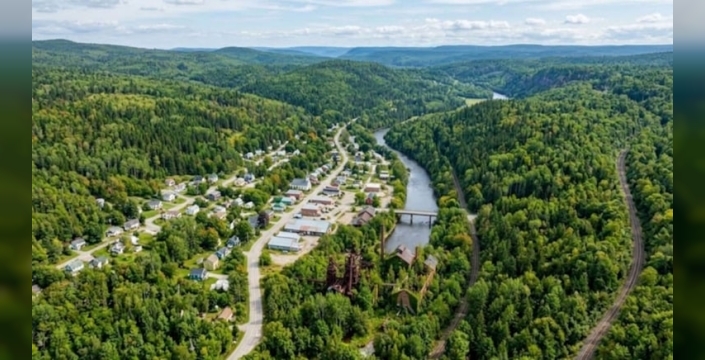 Sudbury'de 10 milyon ağaçla çevre rehabilitasyonu gerçekleştirildi