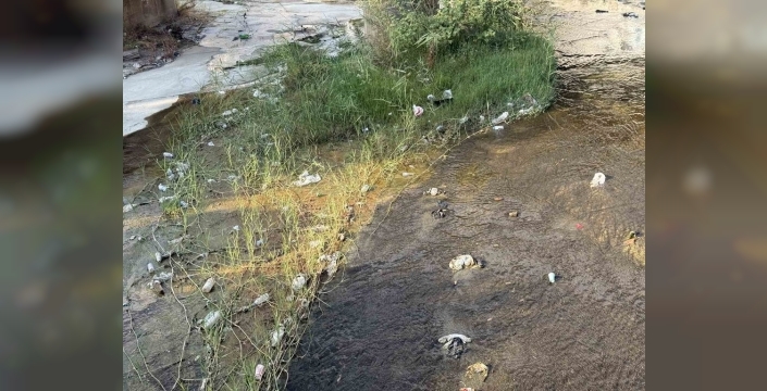 Tabakhane Deresi'nde biriken çöpler çevre kirliliğine yol açtı