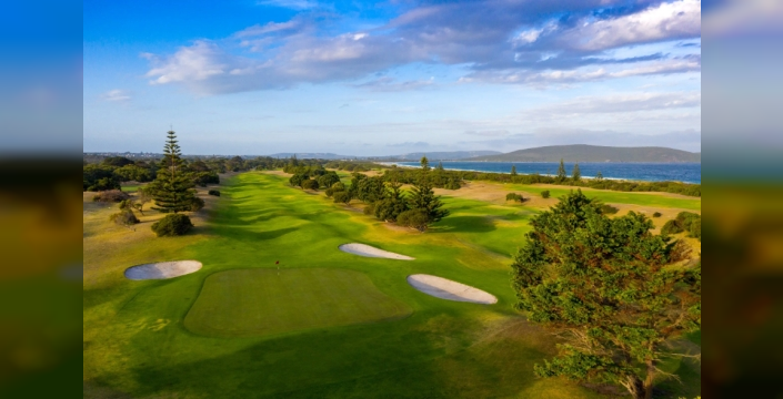 Tavşanlar golf sahasını tehdit ediyor