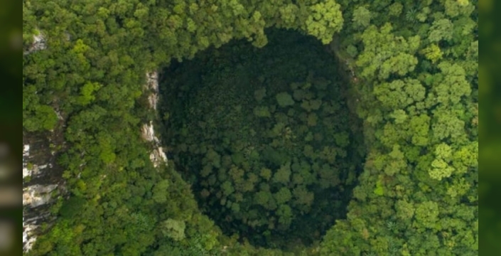 Vietnam'daki dev mağarada yer altı ormanı keşfedildi