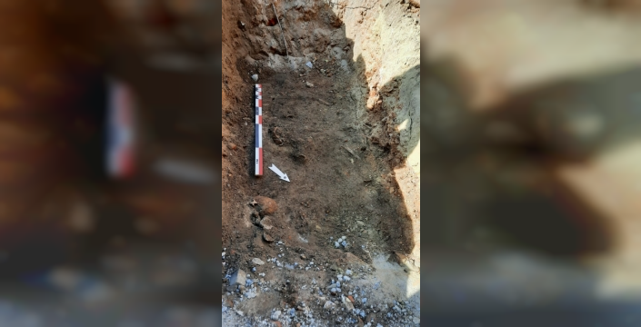 Vlasmarkt'ta ağaç dikimi sırasında iskeletler bulundu
