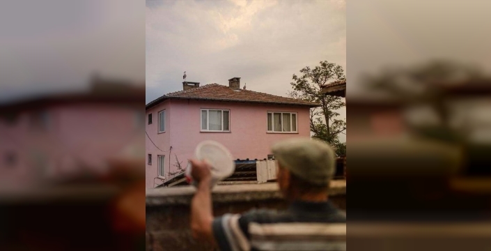 Yaren leylek, göç yolculuğuna başladı
