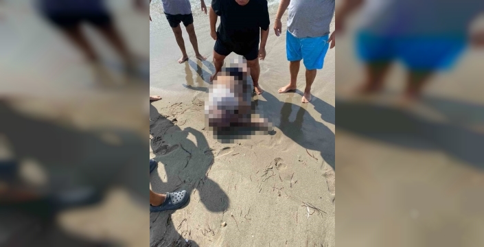 Yattan denize düşen iş insanının cesedi sahilde bulundu