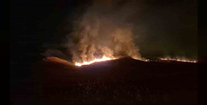 Adıyaman'da anız yangını ağaçlara zarar verdi