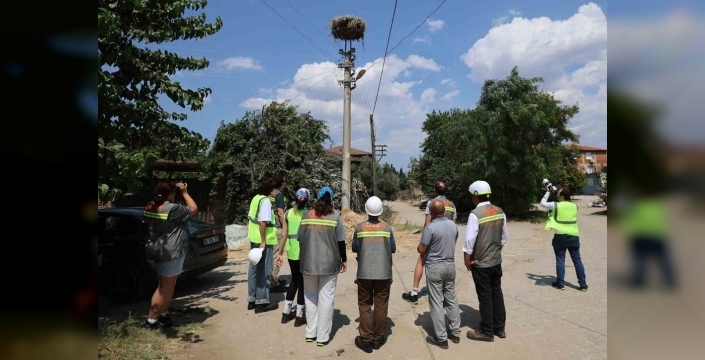 Adm Elektrik ve Gdz Elektrik, göçmen kuşlar için proje başlattı
