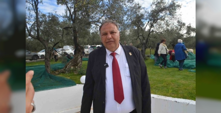 Ayvalık'ta zeytin hasadıyla festival başladı