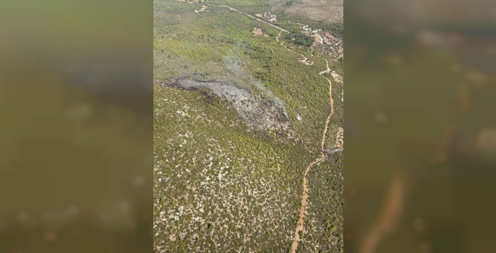 Bodrum'da orman yangını söndürüldü