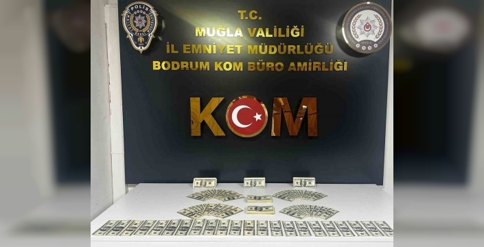 Bodrum'da sahte dolar üreten şüpheli yakalandı