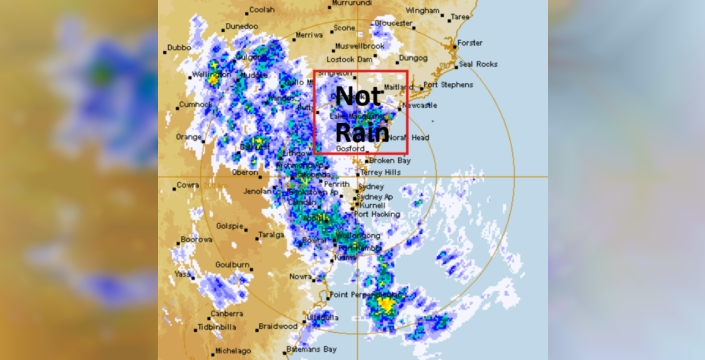 Bogong güveleri Sidney semalarında radar görüntüsünü bozdu