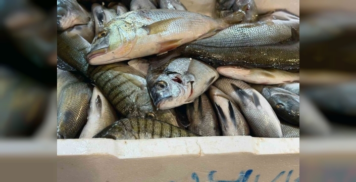 Buca Balık Hali'nde yasa dışı avlanan ürünlere el konuldu