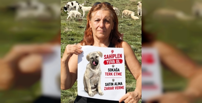 ÇETİNSOY’DAN ÇAĞRI: “SESSİZ KULLARIN ÇIĞLIĞI İÇİN ARTIK SOMUT ADIM ATILMALI”