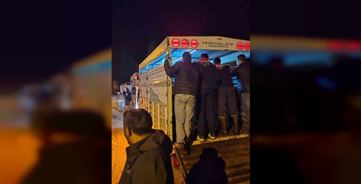 Çine Hayvan Pazarı, denetimlerin ardından yeniden açıldı