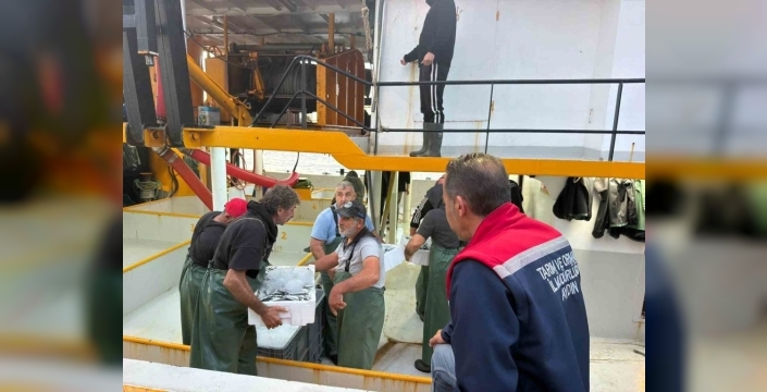Didim'de hamsi avcılığına yönelik denetimler devam ediyor