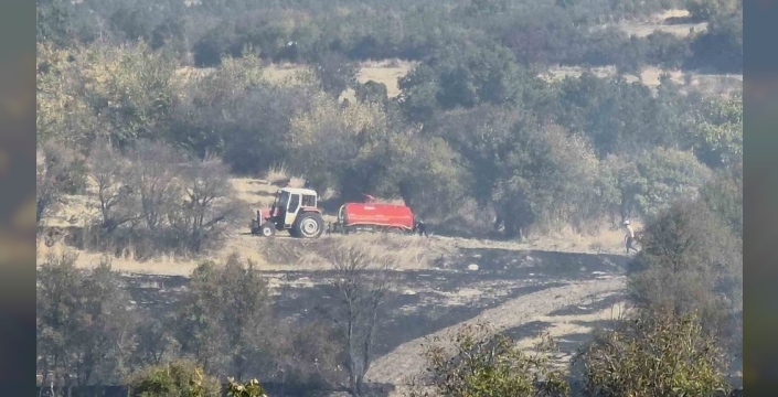 Domaniç'te arazi yangını kontrol altına alındı