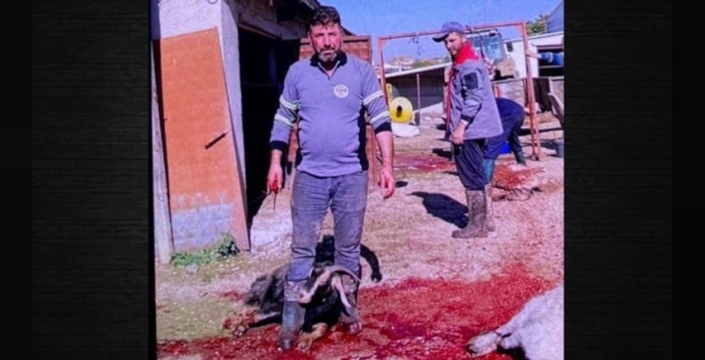 Geçgel kardeşlerin mal varlığı tedbiri kaldırıldı