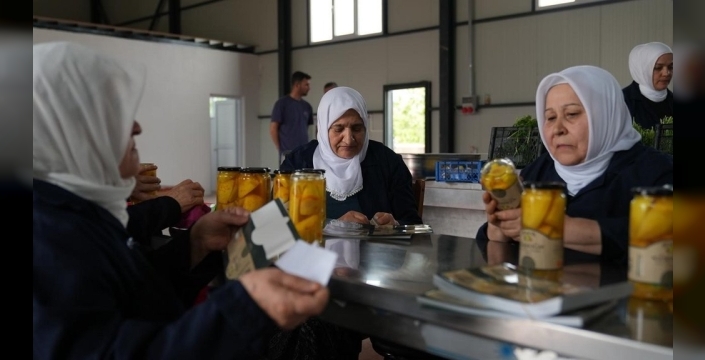 Gürsu'da kadın emeğiyle doğal turşu üretimi