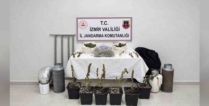 İzmir'de yasa dışı uyuşturucu yetiştiren şüpheli gözaltına alındı