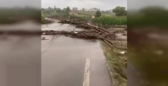 Kocaeli'de sağanak sele neden oldu