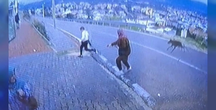 Köpekten kaçarken çocuk bacağını kırdı