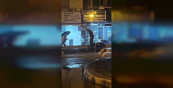 Kuşadası'nda gece sağanak yağış ve fırtına etkili oldu