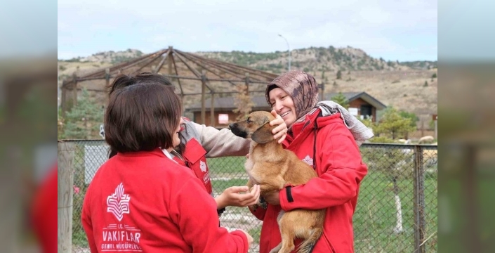 Kütahya'da sahipsiz hayvanlara mama yardımı yapıldı