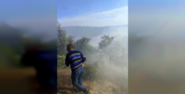 Kütahya'daki orman yangını etkili müdahaleyle söndürüldü