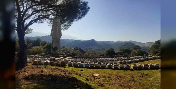 Latmos pürenlikleri arıcılık ve yaban hayatını destekliyor