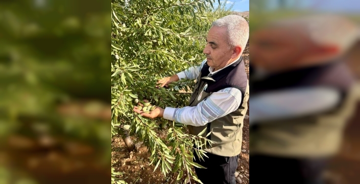 Meyve bahçelerinde zararlı kontrolü yapıldı