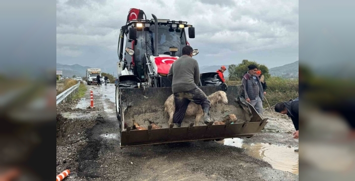 Muğla'daki taşkınlara 250'yi aşkın personel müdahale ediyor