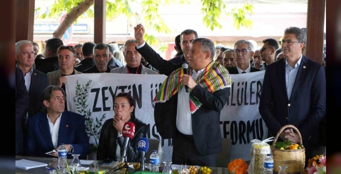 Özgür Özel dört ilçede zeytin hasat programına katıldı