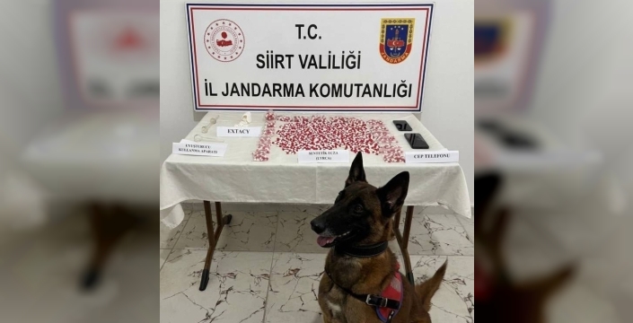 Siirt'te uyuşturucu hap operasyonu: 1 kişi gözaltında