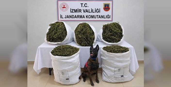 Tire'de 54 kilo esrar ele geçirildi