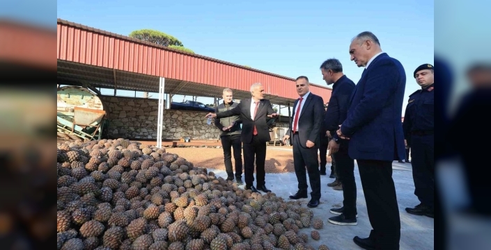 Vali Akbıyık çam fıstığı üreticileriyle görüştü