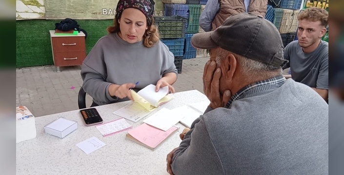 Zeytin fiyatları 20-25 liraya düştü, üretici zor durumda