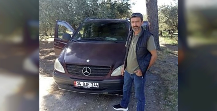 Zeytin toplarken arı sokması sonucu bir kişi hayatını kaybetti